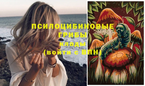 spice Аркадак