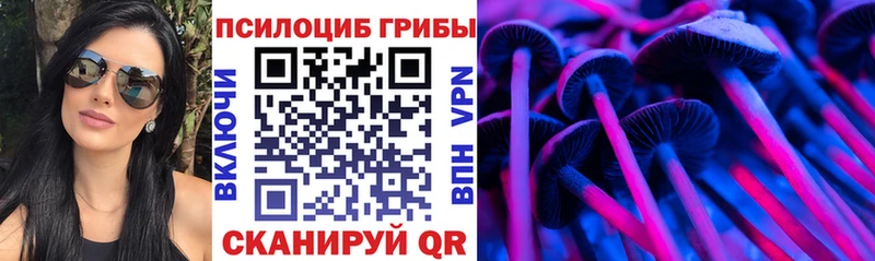 Псилоцибиновые грибы мицелий Ростов